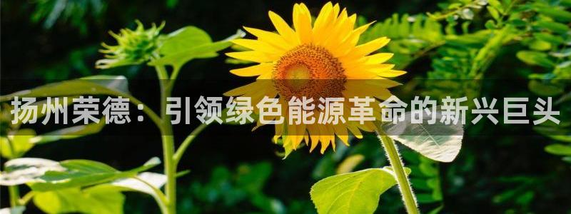 申博手机网址