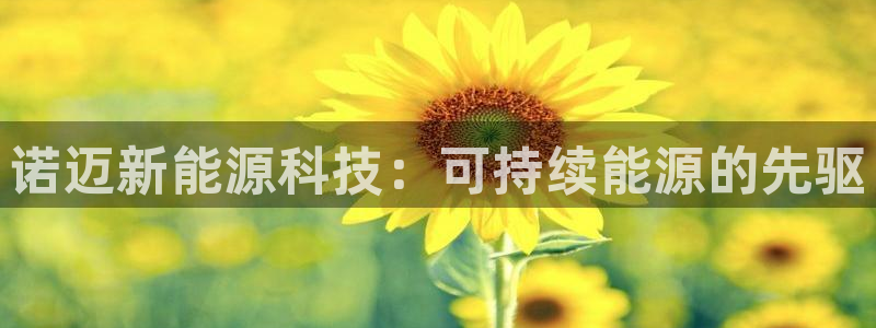 申慱sunbet网站