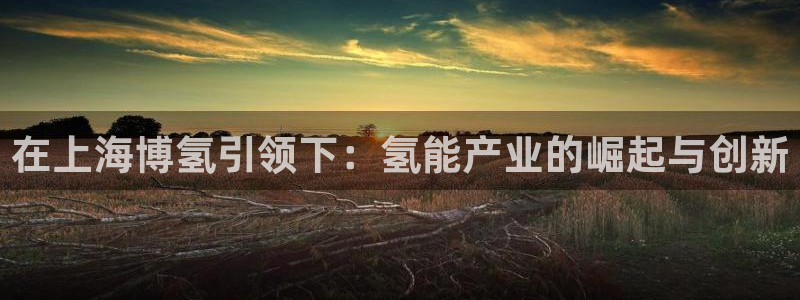 申博手机版官网
