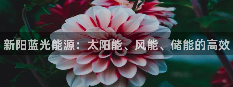 申博app下载