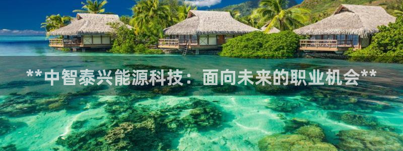 申博手机网址
