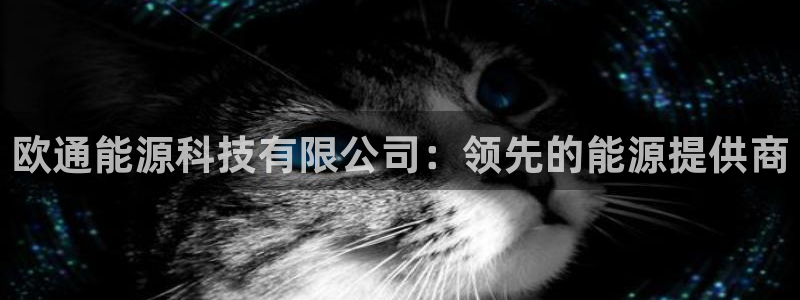 sunbet官网代理下载