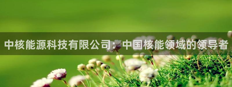 sunbet手机网页版本