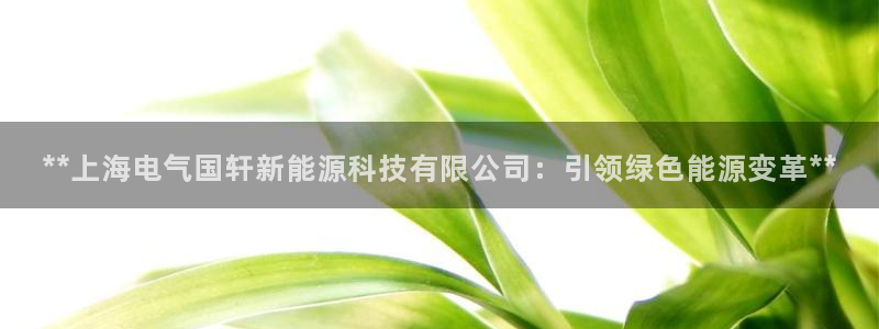 sunbet官网app首页