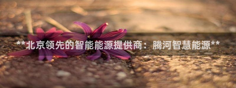 申博app下载