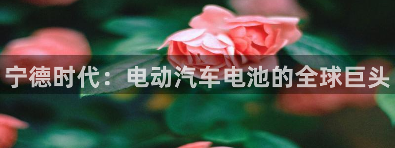 sunbet燃气灶