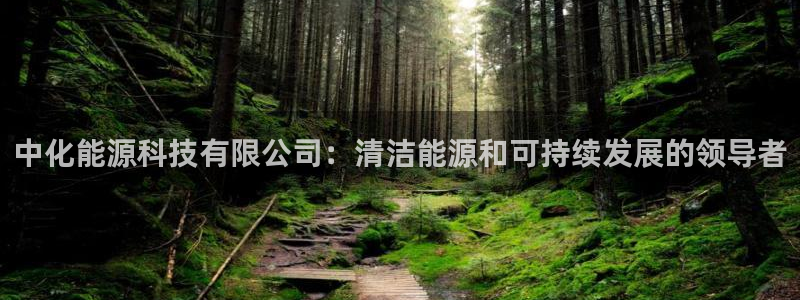 sunbet手机网页版本