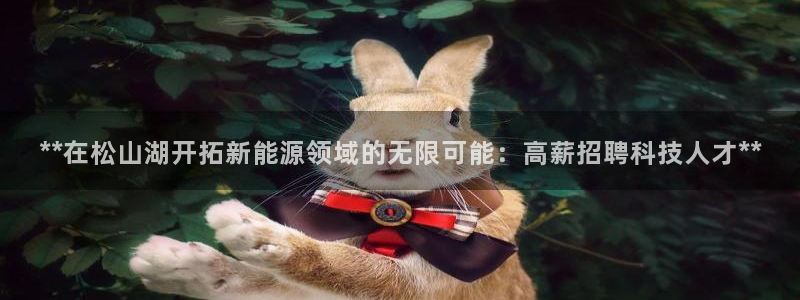 sunbet申搏地址