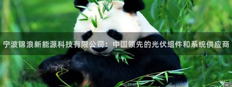 sunbet官网登录首页