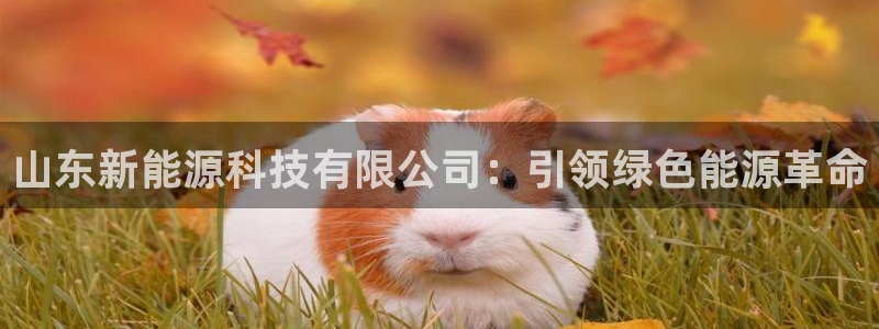 申慱sunbet版app