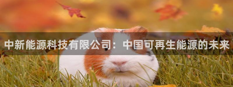 sunbet安卓下载