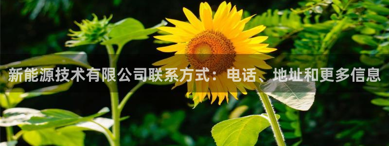 Sunbethe