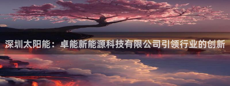 sunbet最新消息