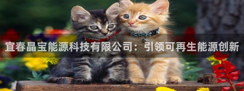 sunbet游戏官网