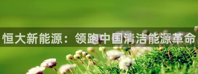 sunbet官网手机版