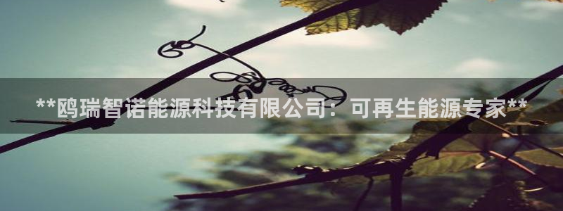 sunbet申搏平台