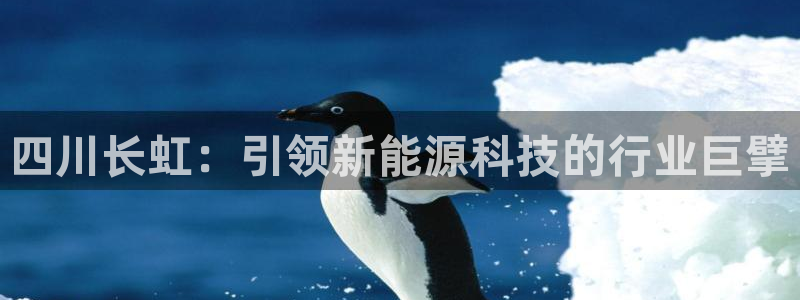 sunbet英语翻译