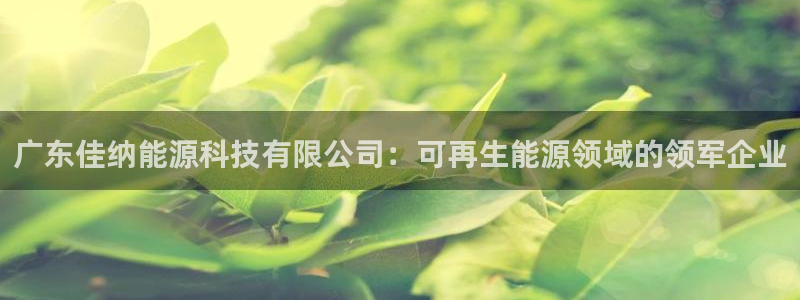 申博手机版app下载