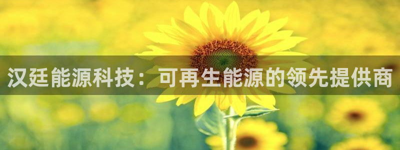 sunbet燃气灶