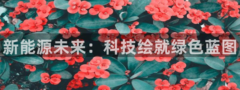 sunbet申搏平台