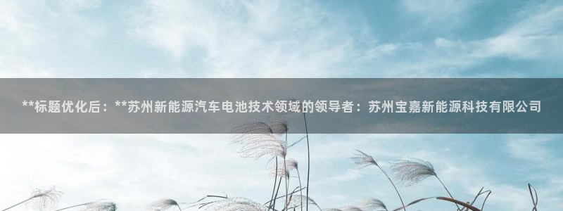 sunbet燃气灶