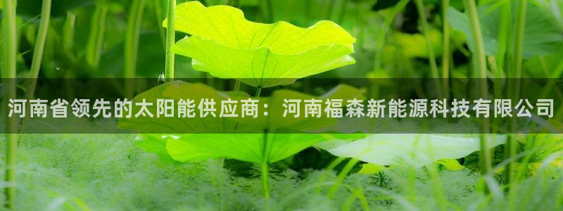 sunbet游戏