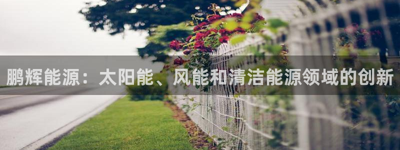 申博手机版官网