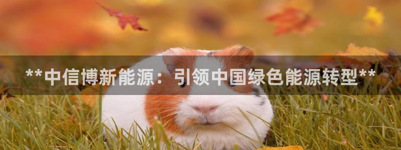 申博app下载