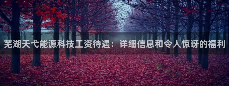 sunbet游戏