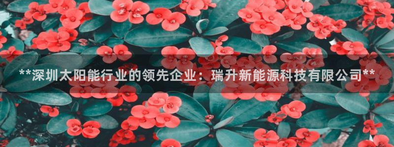 sunbet手机版登录