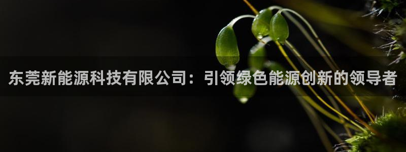 sunbet官网开户登录手机版