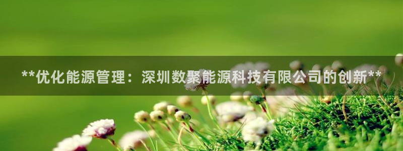 sunbet程序