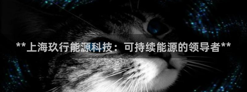 sunbet游戏