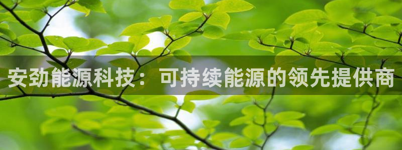 sunbet手机网页版下载
