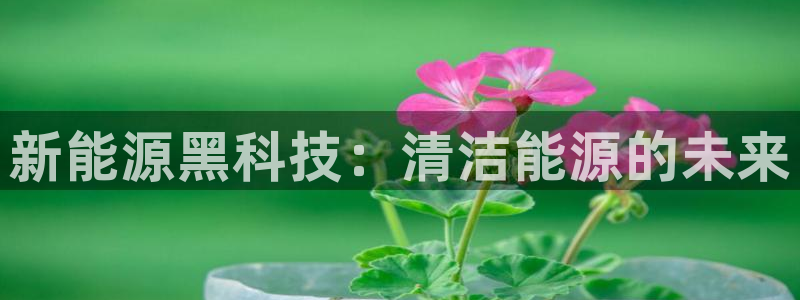 申博官方网站手机版下载