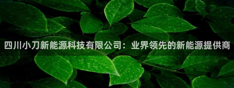 申博手机网址