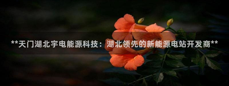 申慱sunbet网站