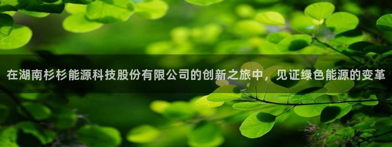 sunbet源码