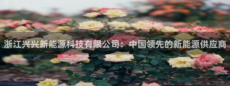 申博手机版app下载