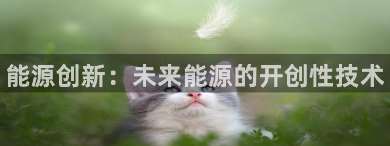 sunbet手机网页版本