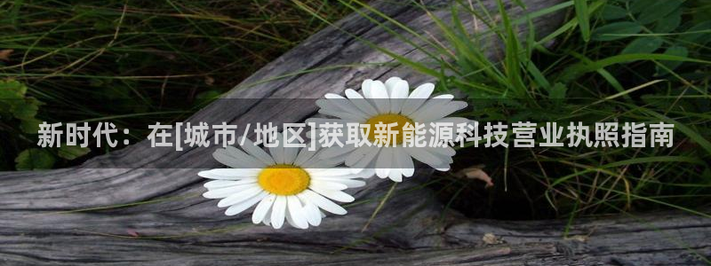 sunbet最新消息