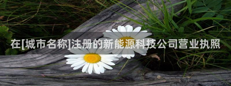 申博官方网站手机版下载