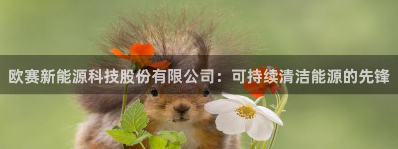 sunbet官网手机版