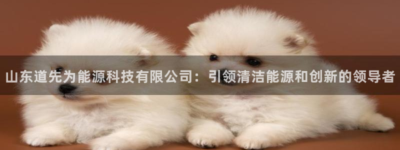 申慱sunbet网站