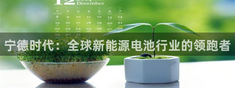 sunbet燃气灶