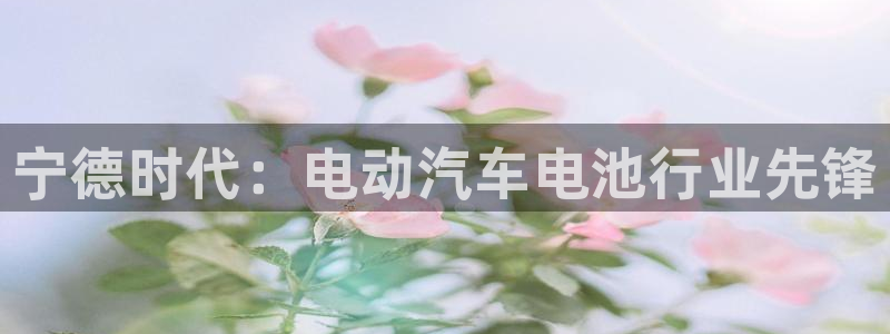 进入sunbet官网手机版登陆