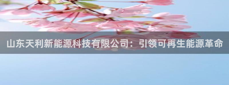 sunbet源码