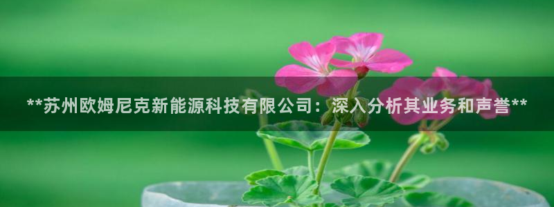 sunbet官网代理下载