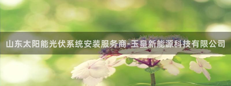 申博官网手机版下载app