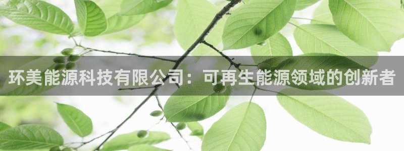 sunbet源码